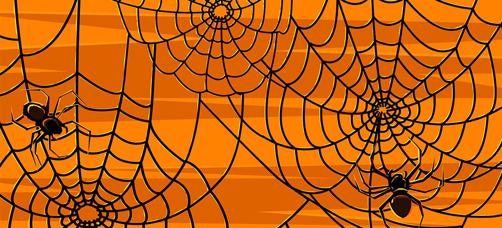 Halloween Spider Webs